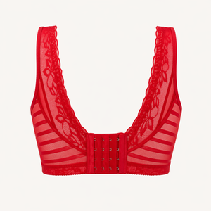 Pentiza – Veloura Sheer Lace Padded Pushup Bralette