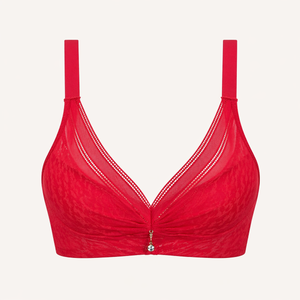 Pentiza – Veloura Sheer Lace Padded Pushup Bralette