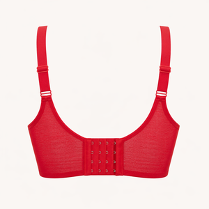 Pentiza – Veloura Sheer Lace Padded Pushup Bralette
