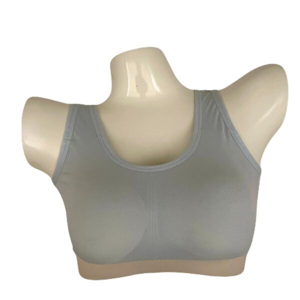 Pentiza Padded Sport bra - Image 3